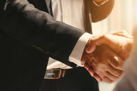 two professionals shaking hand